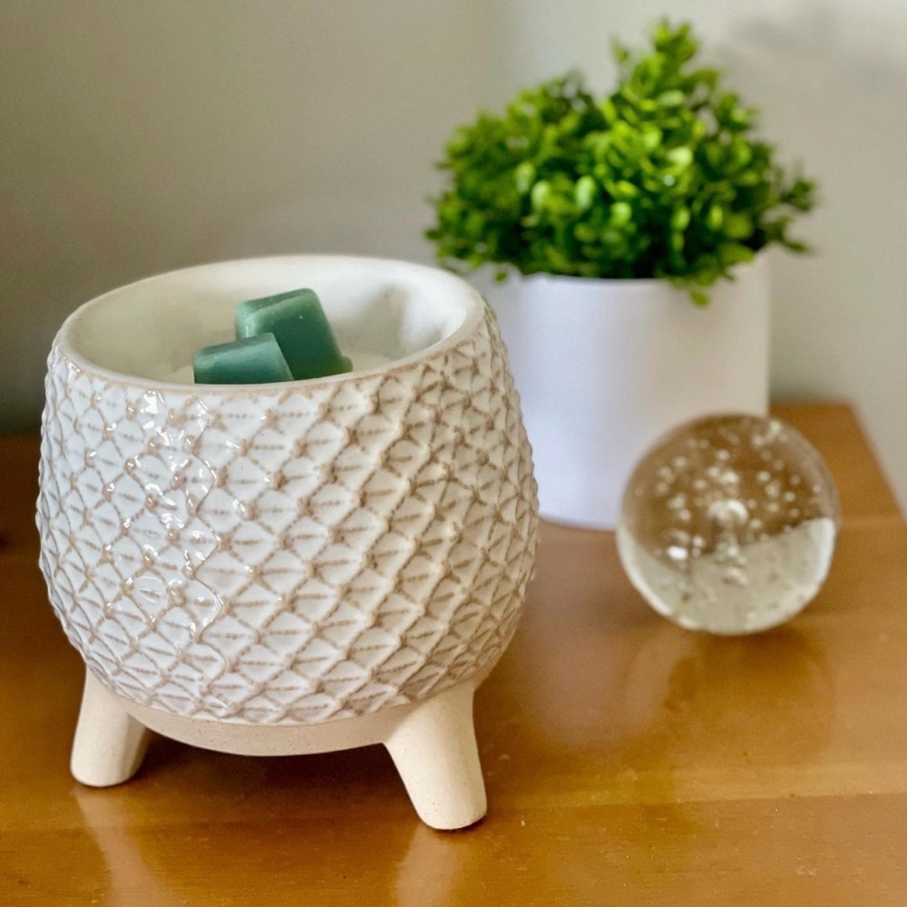 NEW Scentsy Take a Stand Element Warmer